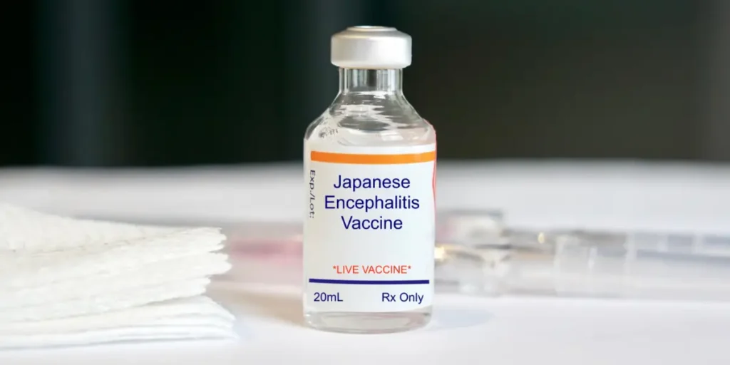Japanese Encephalitis