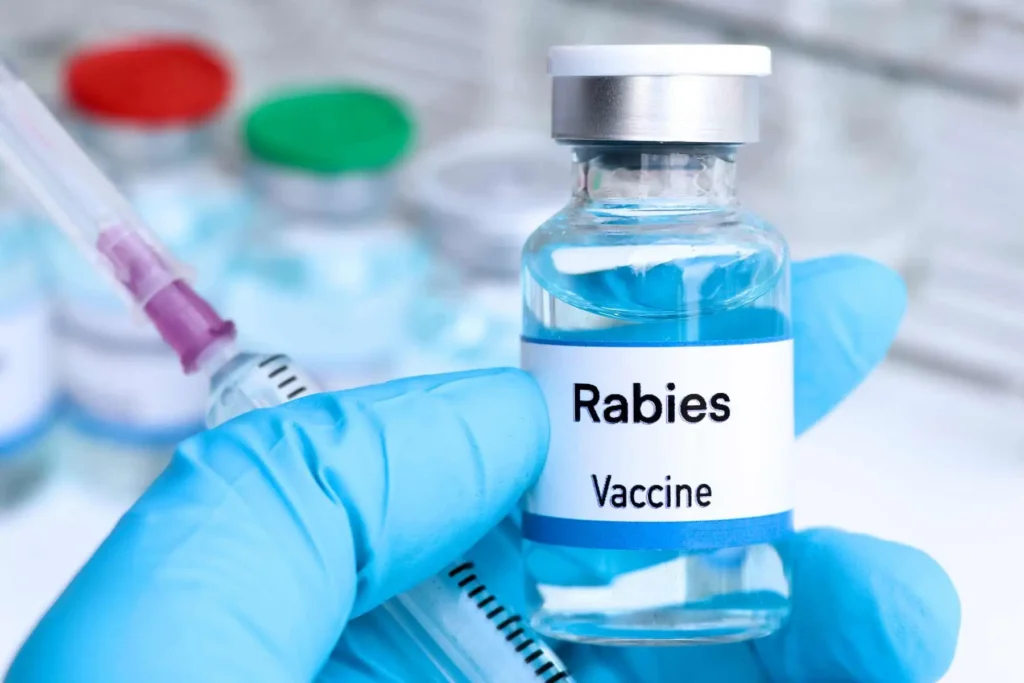 Rabies