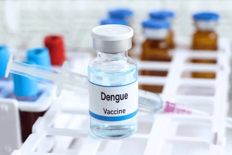 Dengue vaccine