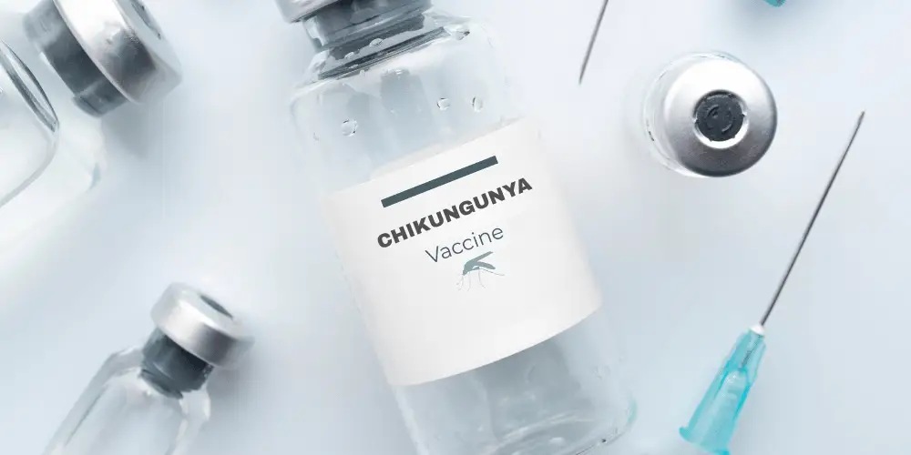 chikungunya